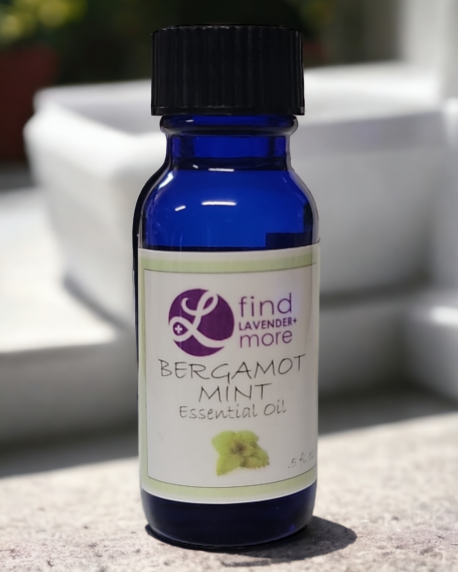 Lavender Essential Oil Pure Therapeutic Grade Aromatherapy 10ml